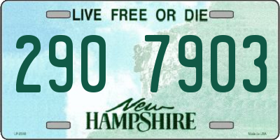 NH license plate 2907903