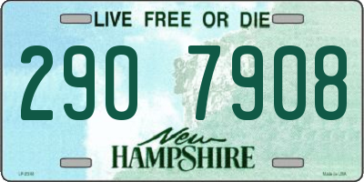 NH license plate 2907908