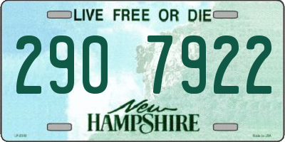 NH license plate 2907922