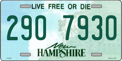 NH license plate 2907930