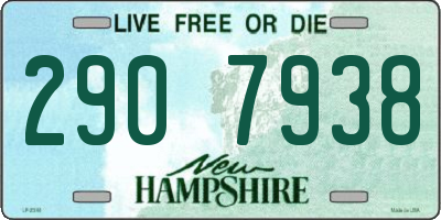 NH license plate 2907938
