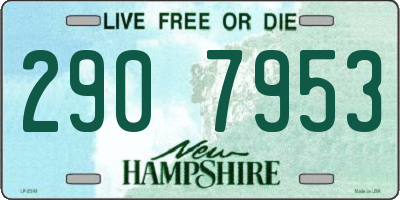NH license plate 2907953