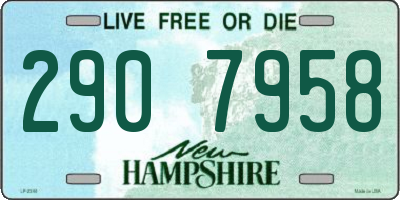 NH license plate 2907958