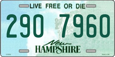 NH license plate 2907960