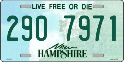 NH license plate 2907971