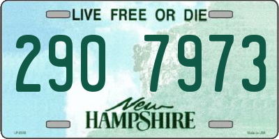 NH license plate 2907973