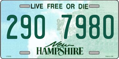 NH license plate 2907980