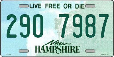 NH license plate 2907987