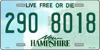NH license plate 2908018