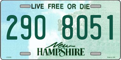 NH license plate 2908051