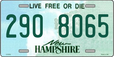 NH license plate 2908065