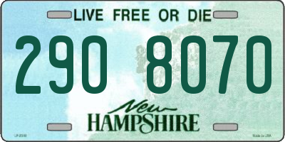 NH license plate 2908070