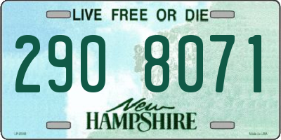 NH license plate 2908071