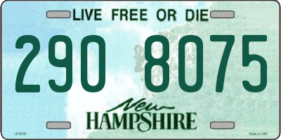 NH license plate 2908075