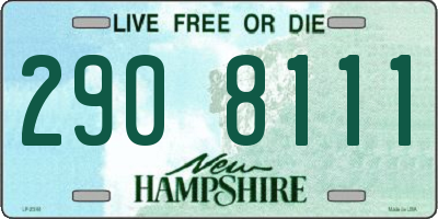 NH license plate 2908111
