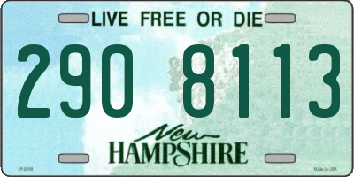 NH license plate 2908113