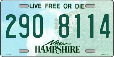 NH license plate 2908114