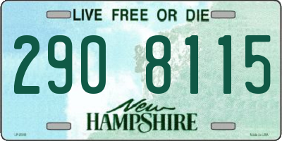 NH license plate 2908115