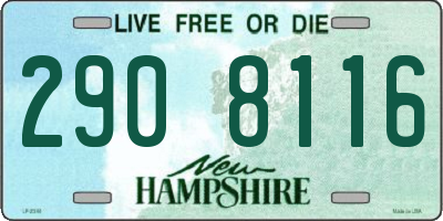 NH license plate 2908116