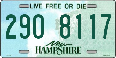 NH license plate 2908117