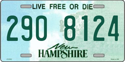NH license plate 2908124