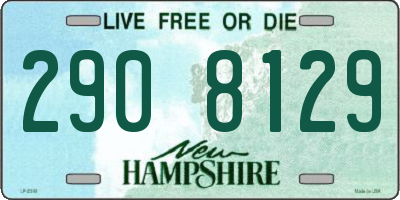 NH license plate 2908129
