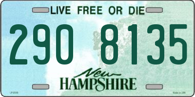 NH license plate 2908135