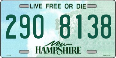 NH license plate 2908138