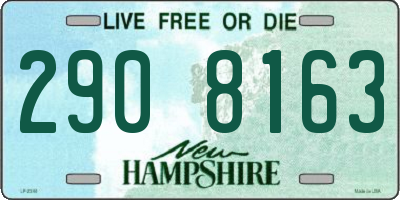 NH license plate 2908163