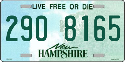 NH license plate 2908165