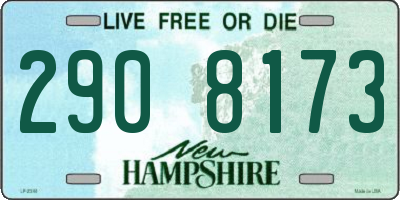 NH license plate 2908173