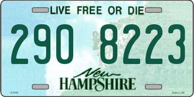 NH license plate 2908223