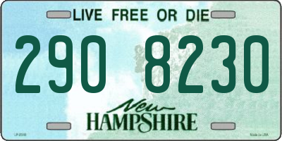 NH license plate 2908230