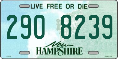 NH license plate 2908239