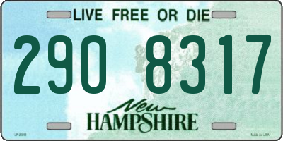 NH license plate 2908317