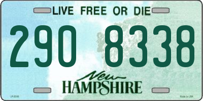 NH license plate 2908338