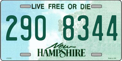 NH license plate 2908344