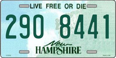 NH license plate 2908441