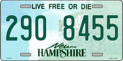 NH license plate 2908455