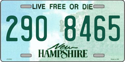 NH license plate 2908465