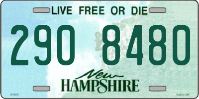 NH license plate 2908480