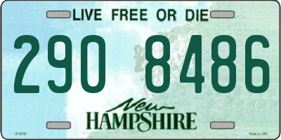 NH license plate 2908486