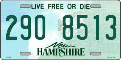 NH license plate 2908513