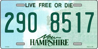 NH license plate 2908517