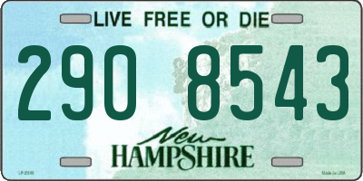 NH license plate 2908543