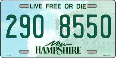 NH license plate 2908550