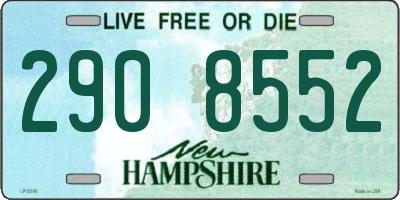 NH license plate 2908552