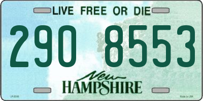 NH license plate 2908553