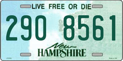 NH license plate 2908561