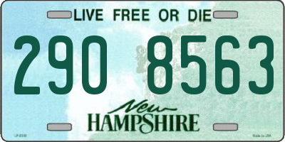 NH license plate 2908563